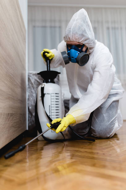 Professional Pest control in Okawville, IL